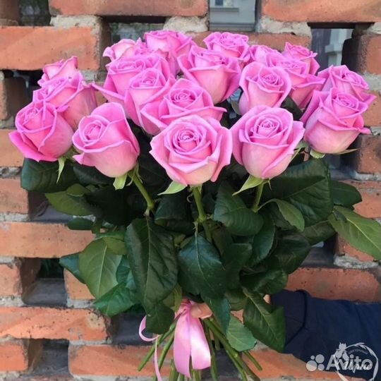 31 розовая роза