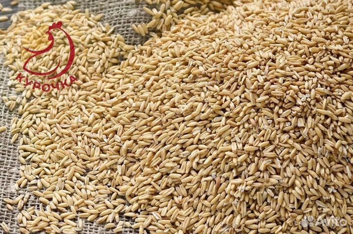 Овес в мешках