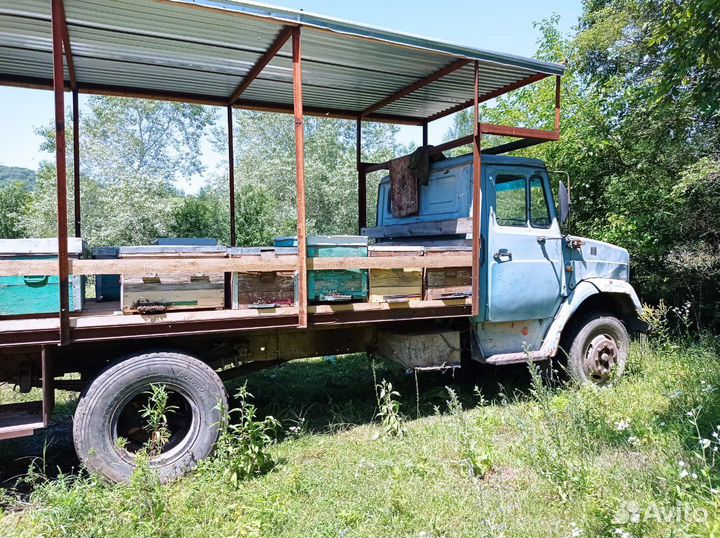 Пчёлы и улья