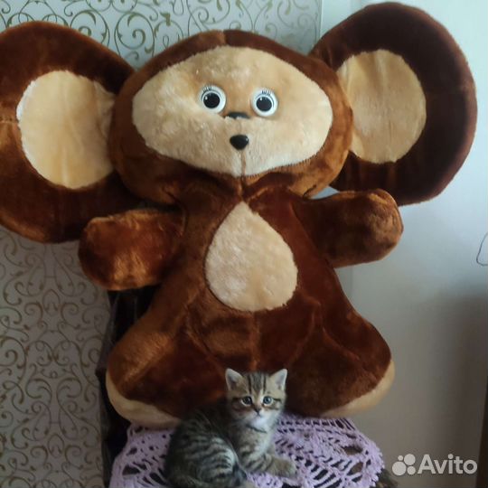 Мягкая игрушка чебурашка