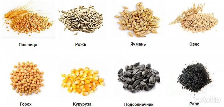 Комбикорма,зерно гост