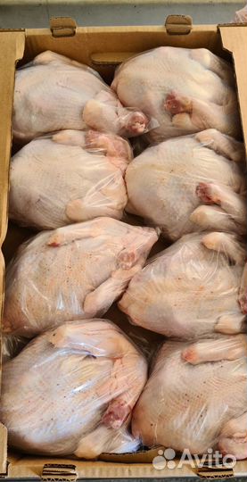 Фермерское мясо птицы кур цыплят - бройлеров