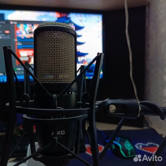 Звуковая карта Steinberg UR22C + AKG P220