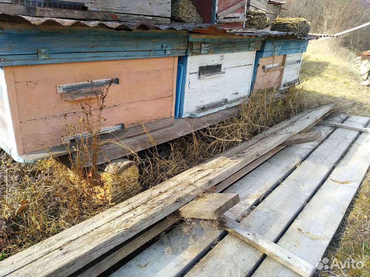 Улики для пчел