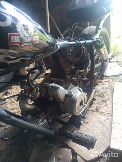 RegalRaptor Чоппер