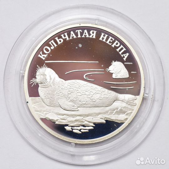 1 рубль 2007 года. Кольчатая нерпа. Серебро 925