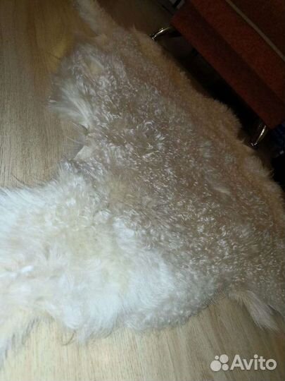 Шторы красные (6шт)