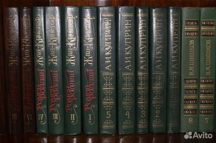 Толстой Л.Н., Шишков, Чернышевский, Майков, Бунин