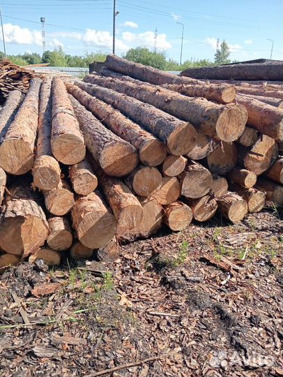 Лес кругляк пиловочник