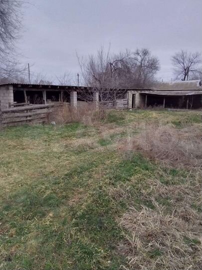 Дом 33,5 м² на участке 19,9 сот.