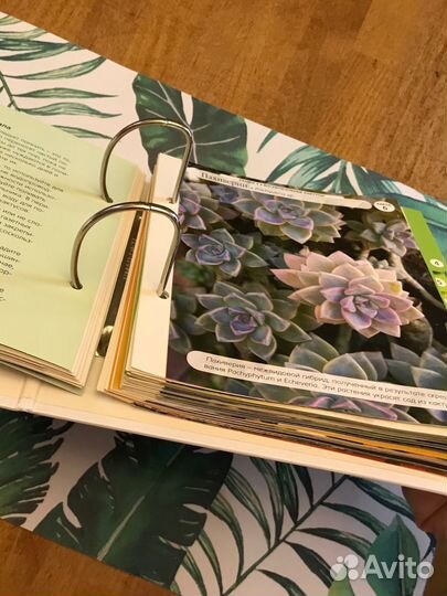 Цветы дома. Шаг за шагом” коллекция карточек