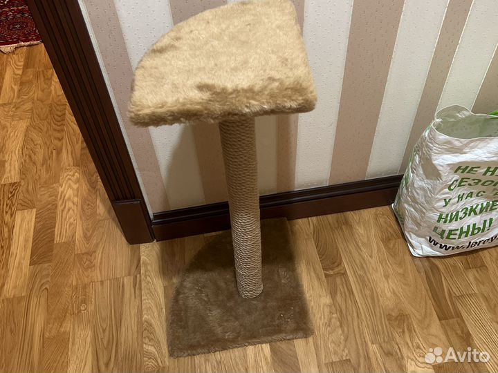 Когтеточка
