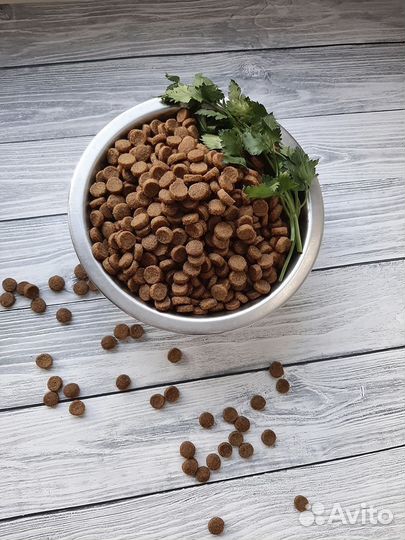 Корм Probalance для миниатюрных собак всех пород