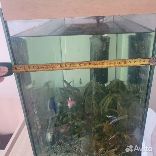 Аквариум