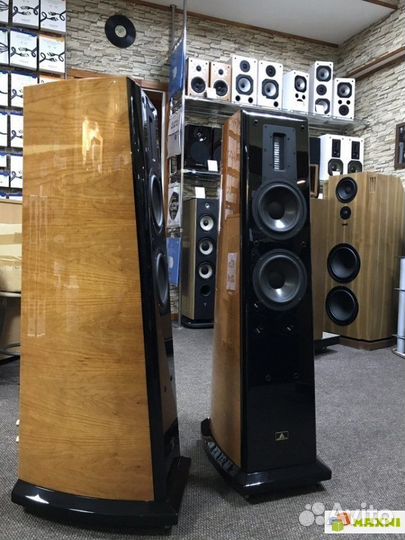 Напольная ас Aurum Cantus V6F (Китай)