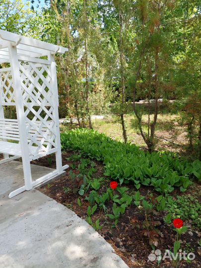 Беседка с мангалом в аренду