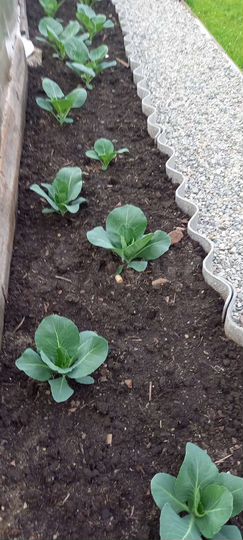 Дача 75 м² на участке 6,1 сот.