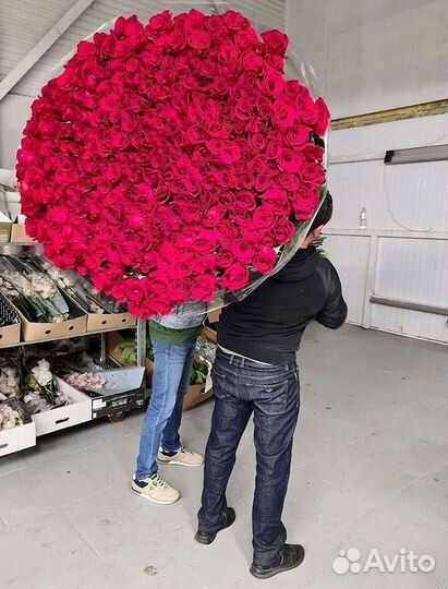 51 Роза, Букеты Цветы Розы 25 101 501 1001