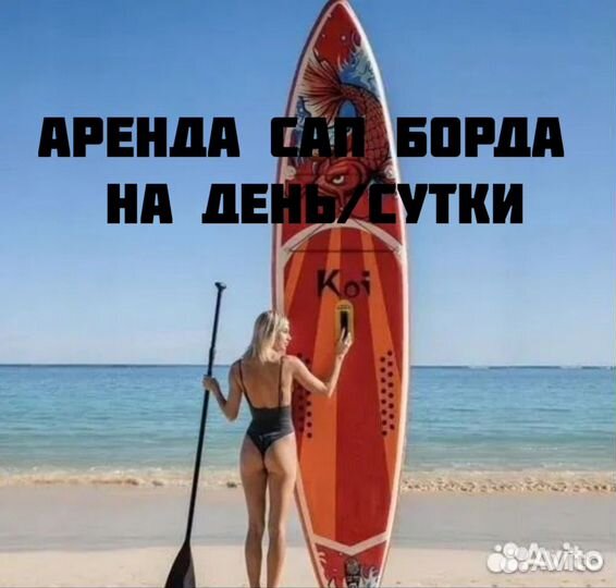 Сапборд koi аренда