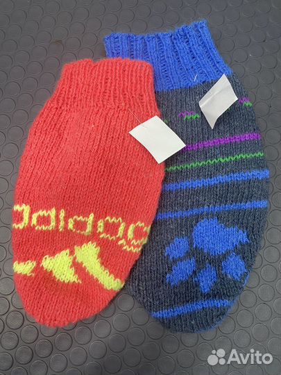 Одежда для животных