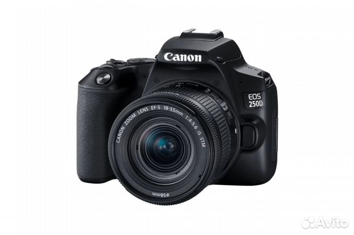Фотокамера Canon EOS 250D Kit 18-55mm новые