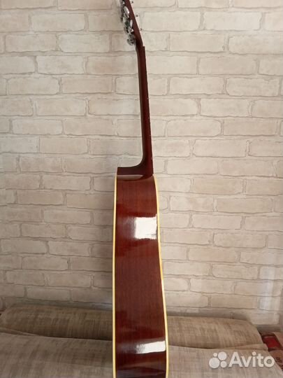 Акустическая гитара morris W18