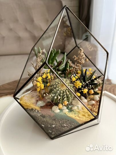 Флорариум, суккуленты, комнатные растения