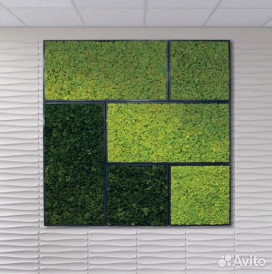 Картина из мха без подсветки