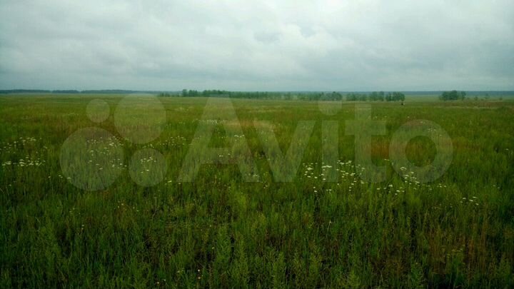 Участок 50 сот. (СНТ, ДНП)