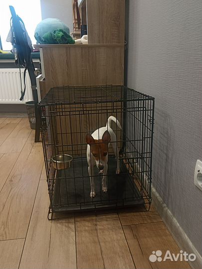 Клетка для собак мелких и средних пород