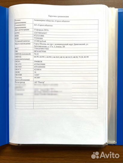 Ао «Горхоз объекты». Готовое ао. Готовая фирма