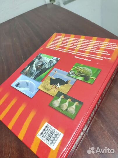 Животные. Моя Первая Энциклопедия