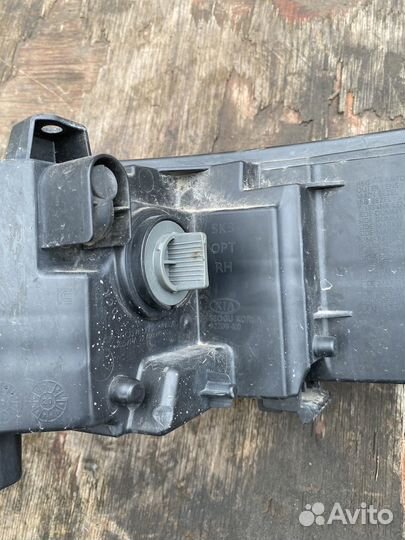 Ходовой огонь