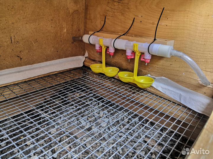 Брудер для цыплят б/у