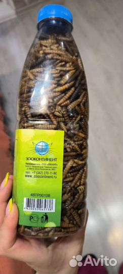 Черная львинка