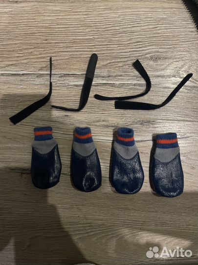 Одежда для собак мелких пород