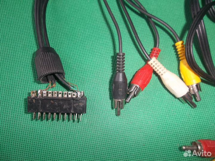 Тюльпаны провода