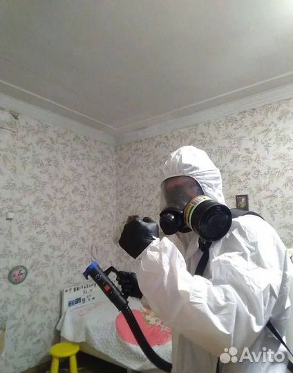 Уничтожение тараканов, клопов Дезинсекция