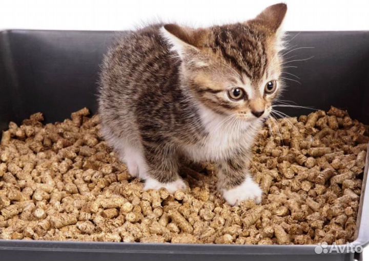 Древесный наполнитель для туалета животных