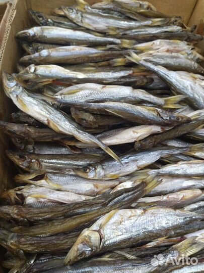 Корюшка вяленая с икрой