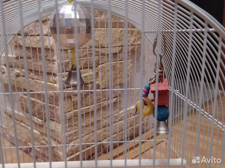Клетка для птиц