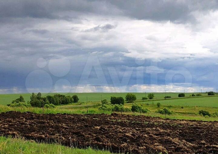 Участок 25 сот. (ИЖС)