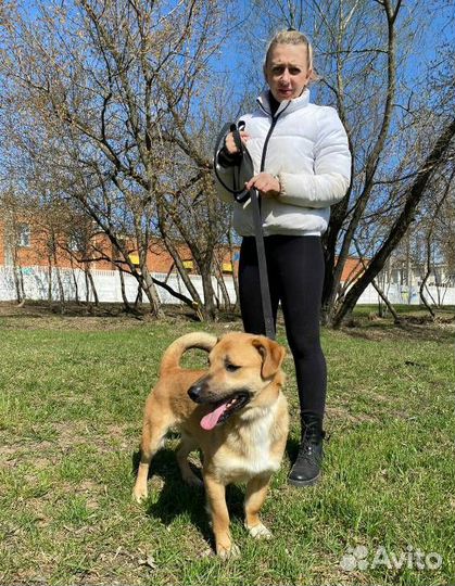 Маленький Батлер грустит в приюте