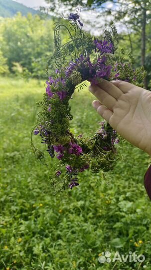 Сухоцвет Венок обережный на удачу