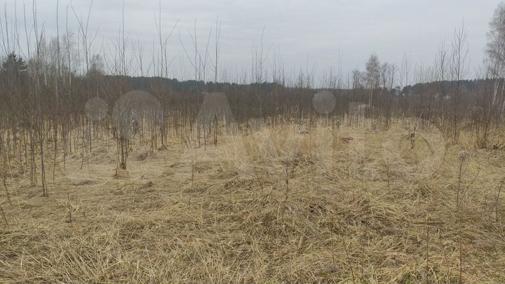 Участок 22,9 сот. (ИЖС)
