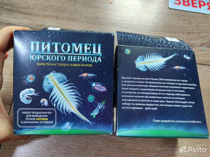 Новый Набор для творчества и экспериментов