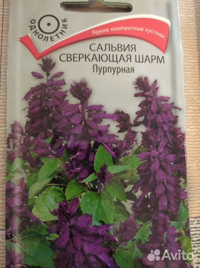 Семена сальвии и др