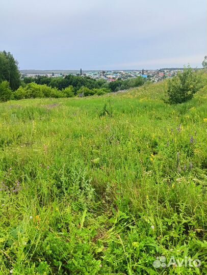 Свеча из травы полынь для окуривания помещения