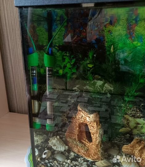 Аквариум