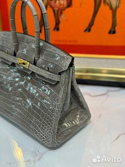 Сумка Hermes Birkin 25 Croco